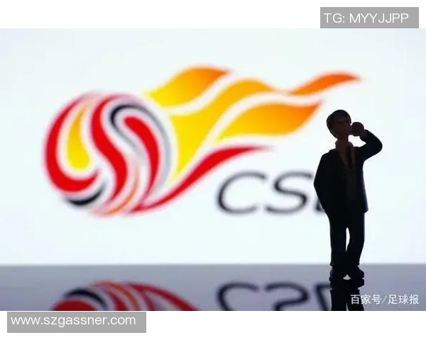 中国足球球星是否按规定缴纳税款引发广泛关注和讨论